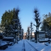 Sneeuwfoto\'s-2013