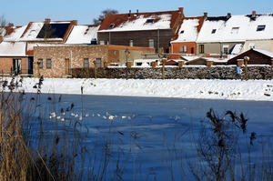 Sneeuwfoto\'s-2013