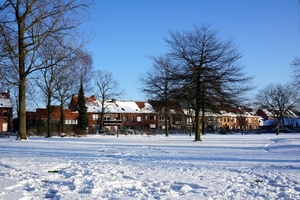 Sneeuwfoto\'s-2013