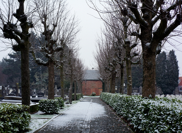 Roeselare-sneeuw-18-2-16