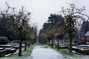 Roeselare-sneeuw-18-2-16