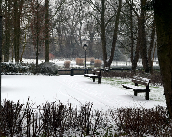 Roeselare-Sneeuw-22-01-2019