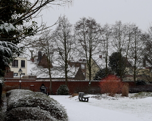 Roeselare-Sneeuw-22-01-2019