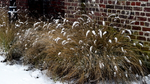 Roeselare-Sneeuw-22-01-2019