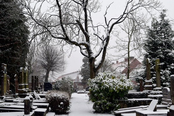 Roeselare-Sneeuw-22-01-2019