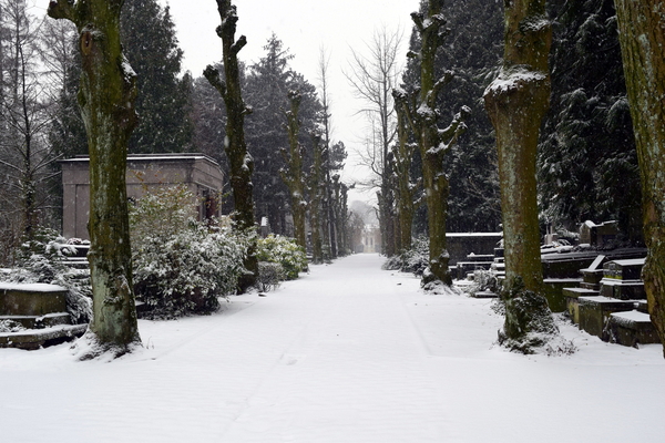 Roeselare-Sneeuw-22-01-2019