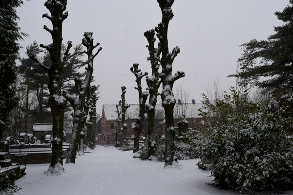 Roeselare-Sneeuw-22-01-2019