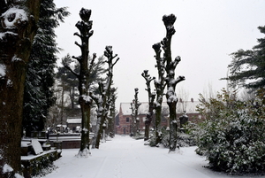 Roeselare-Sneeuw-22-01-2019