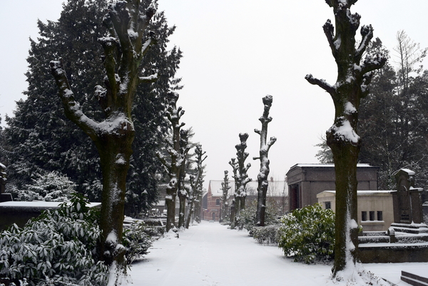 Roeselare-Sneeuw-22-01-2019