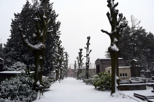 Roeselare-Sneeuw-22-01-2019