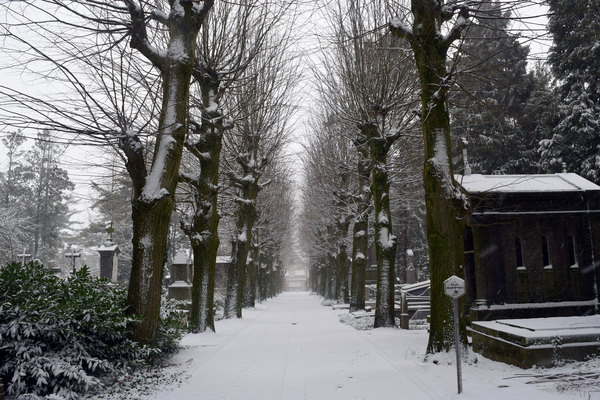 Roeselare-Sneeuw-22-01-2019