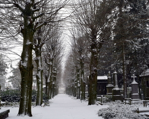 Roeselare-Kerkhof-Blekerijstraat-22-1-2019