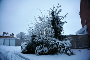 Roeselare-Sneeuw-23-01-2019