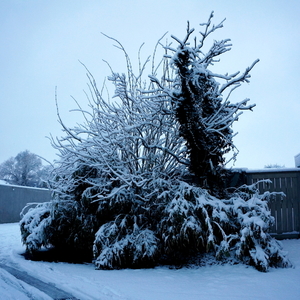 Roeselare-Sneeuw-23-01-2019