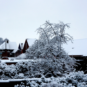 Roeselare-Sneeuw-23-01-2019