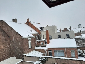 Roeselare-Sneeuw--16-01-2021-4