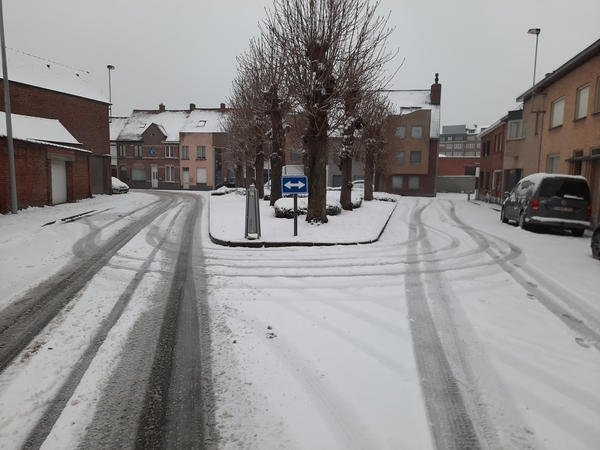 Roeselare-Sneeuw--16-01-2021-15