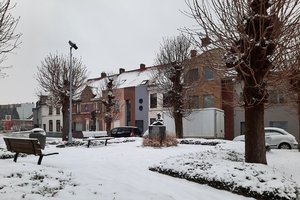 Roeselare-Sneeuw--16-01-2021-22