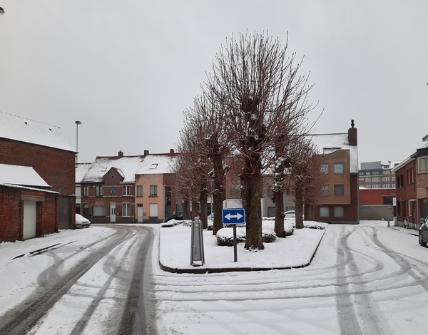 Roeselare-Sneeuw--16-01-2021-24