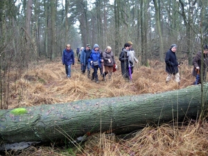 buntspekjenever2013 033