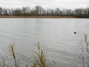 zierikzee 23122012 010