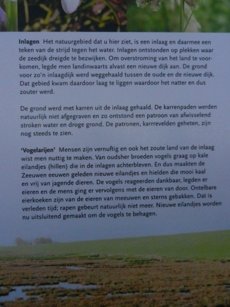 zierikzee 23122012 061