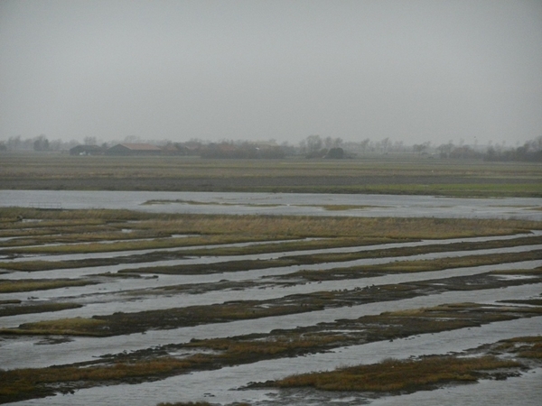 zierikzee 23122012 067