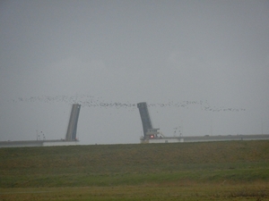 zierikzee 23122012 086