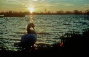 Zonsondergang01