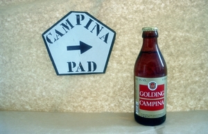 Campinapad01