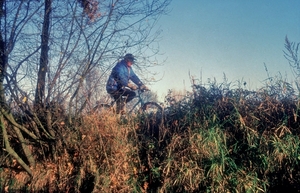 Campinapad03