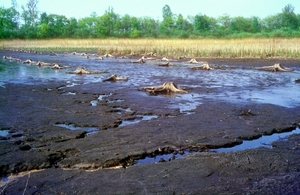 Goorvijver01