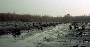 Prinsenpark01