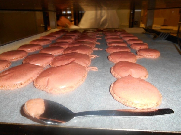 eiwitbeslagen dinsdagav 2 sem 2013 039