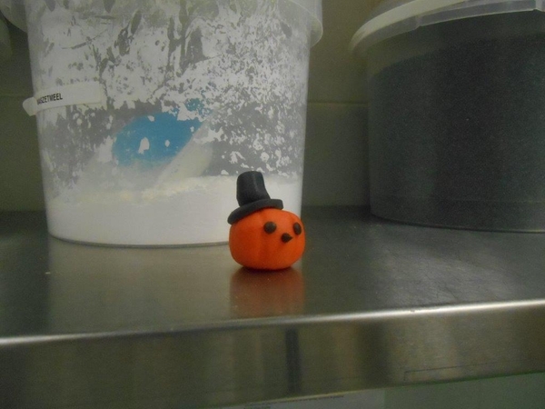 boterdegen woensdagavond 23.10.2013 015