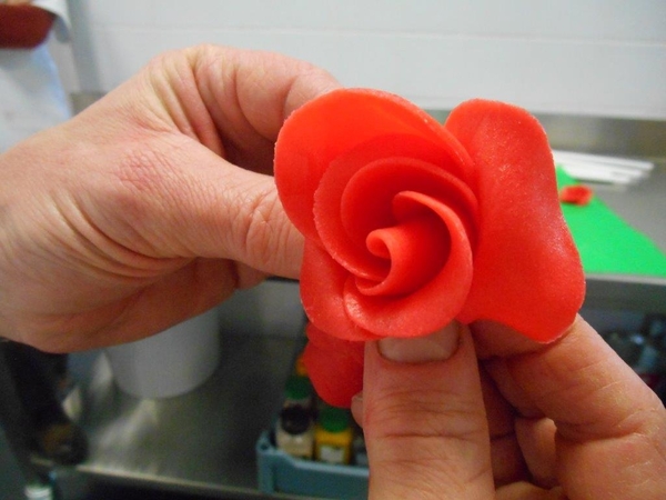 maandag 9 dec 2013 bavarois 063