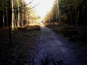 't regent dertien dagen