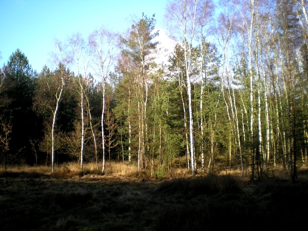 en 't Kamp