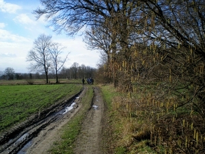 Er komt al wat leven in de ...