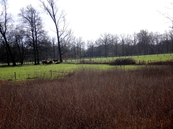 in Eindhout