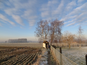 2013-02-09 Opwijk 007