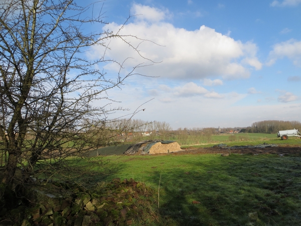 2013-02-09 Elst 008