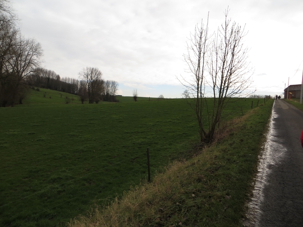 2013-02-09 Elst 013