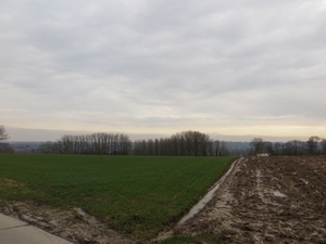 2013-02-09 Elst 019