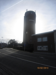 Wandeling Wijnegem 10-2-2013 018