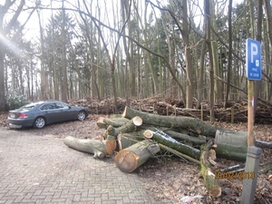 Wandeling Wijnegem 10-2-2013 063