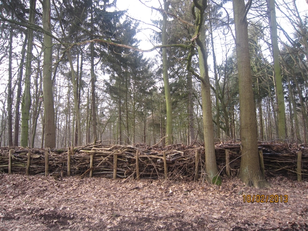 Wandeling Wijnegem 10-2-2013 064