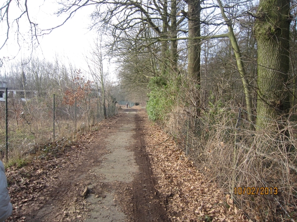 Wandeling Wijnegem 10-2-2013 066