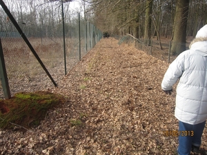 Wandeling Wijnegem 10-2-2013 068