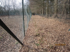 Wandeling Wijnegem 10-2-2013 069